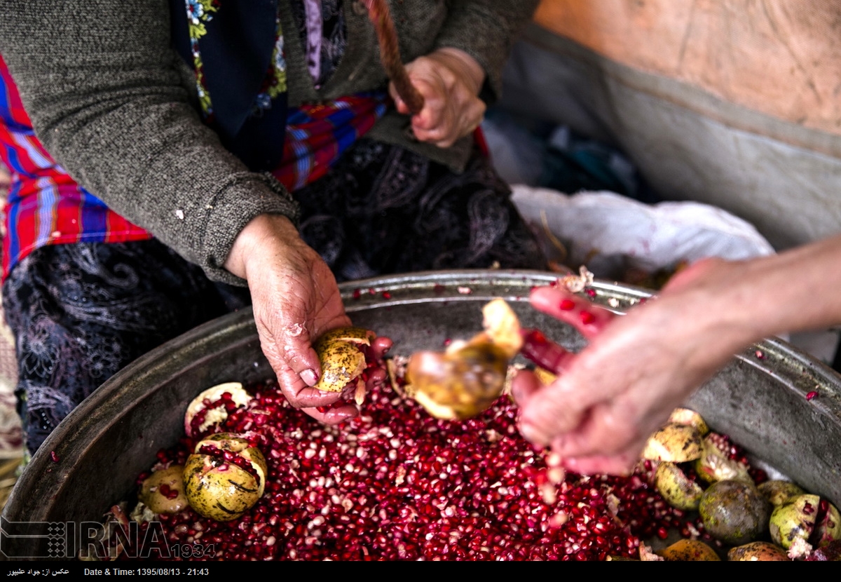 تولید یک سوم انار دنیا در ایران
