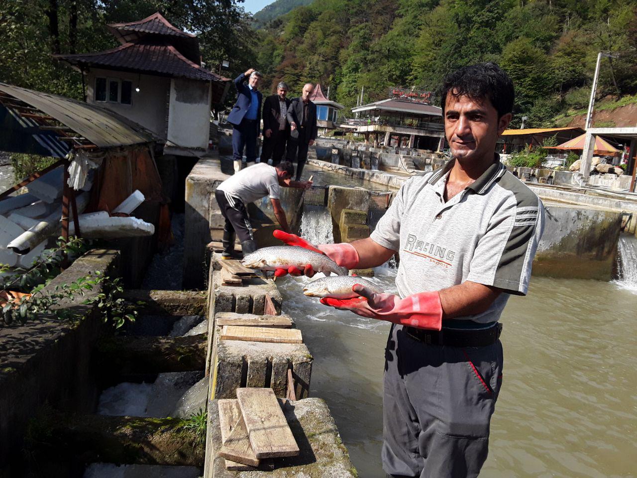 خسارت  70میلیاردریالی سیل به مزارع پرورش ماهی غرب مازندران