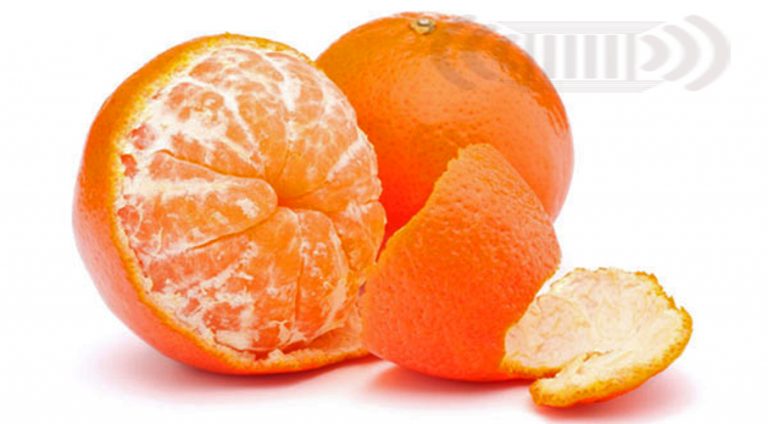 40 تن نارنگی از بهنمیر به روسیه صادر شد