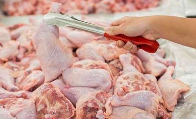 افزایش سه هزار تومانی قیمت مرغ در مازندران