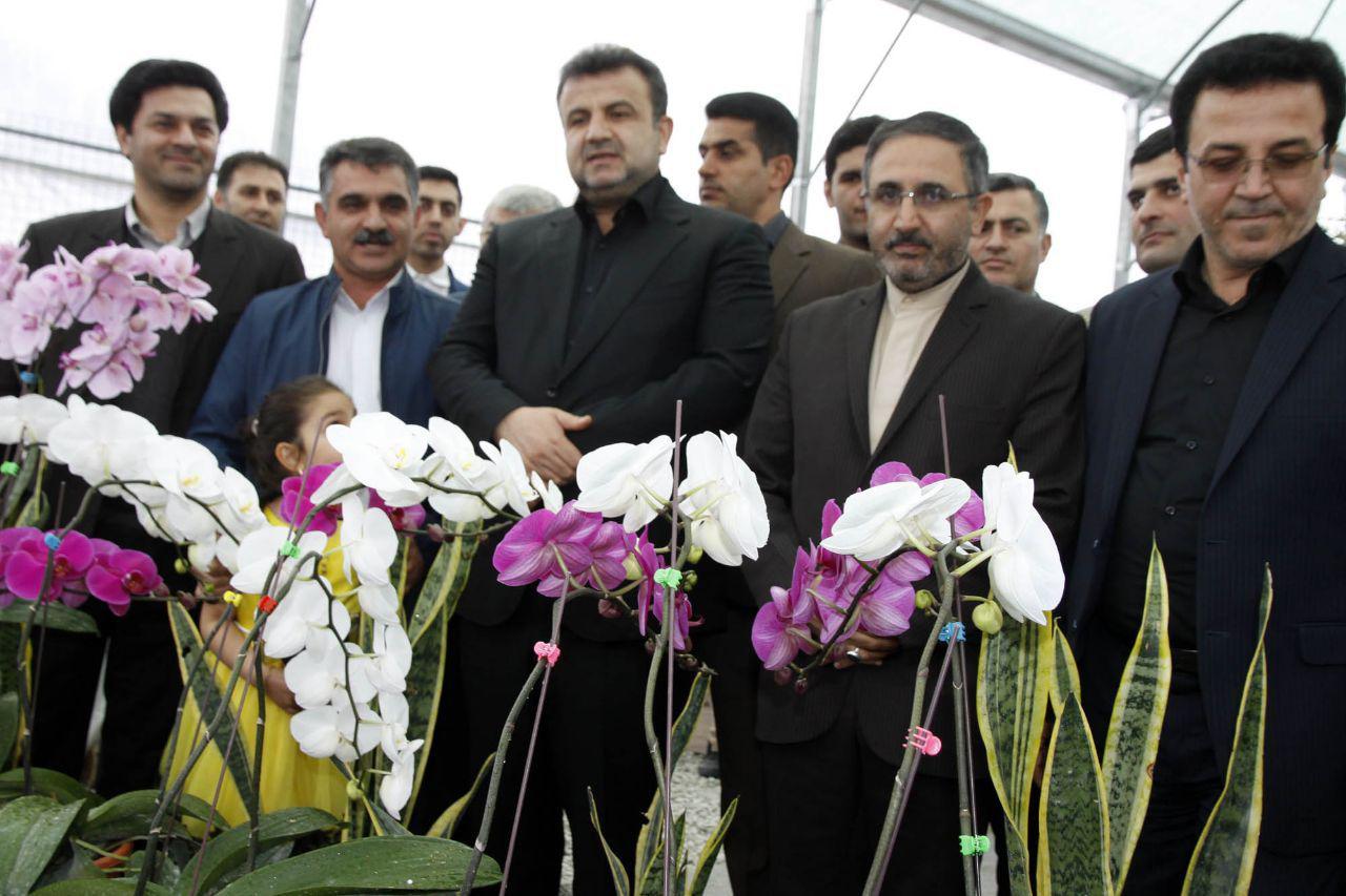 دولت تدبیر و امید به پرورش گل و گیاه در مازندران نگاه ویژه دارد / صادرات گل و گیاه نیازمند فعالیت پایانه است