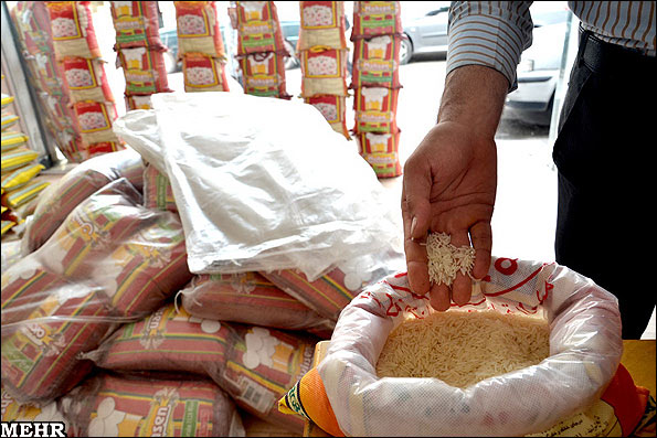 واردات دولتی؛ آفت رونق تولید داخلی برنج