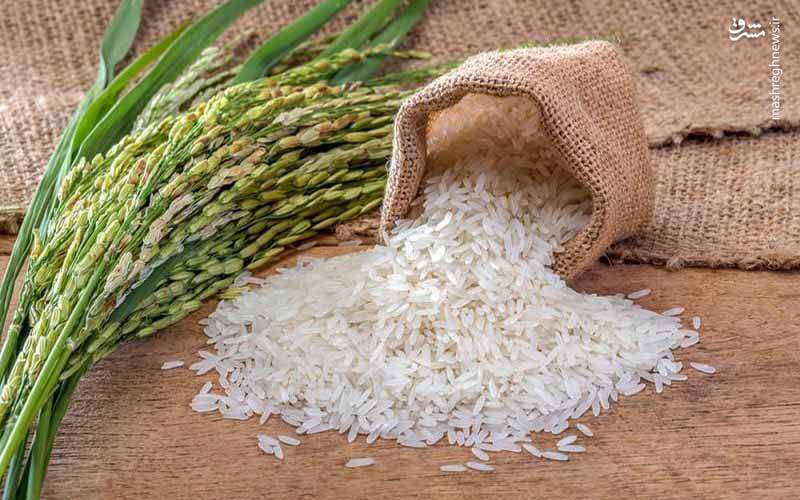 نائب رئیس کمیسیون کشاورزی مجلس در آمل اعلام کرد افزایش قیمت خرید تضمینی برنج از سال آینده