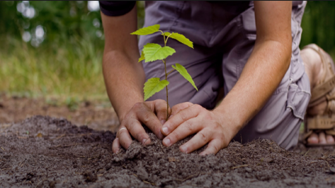 مانع زدایی از تولید راهی برای استمرار خودکفایی