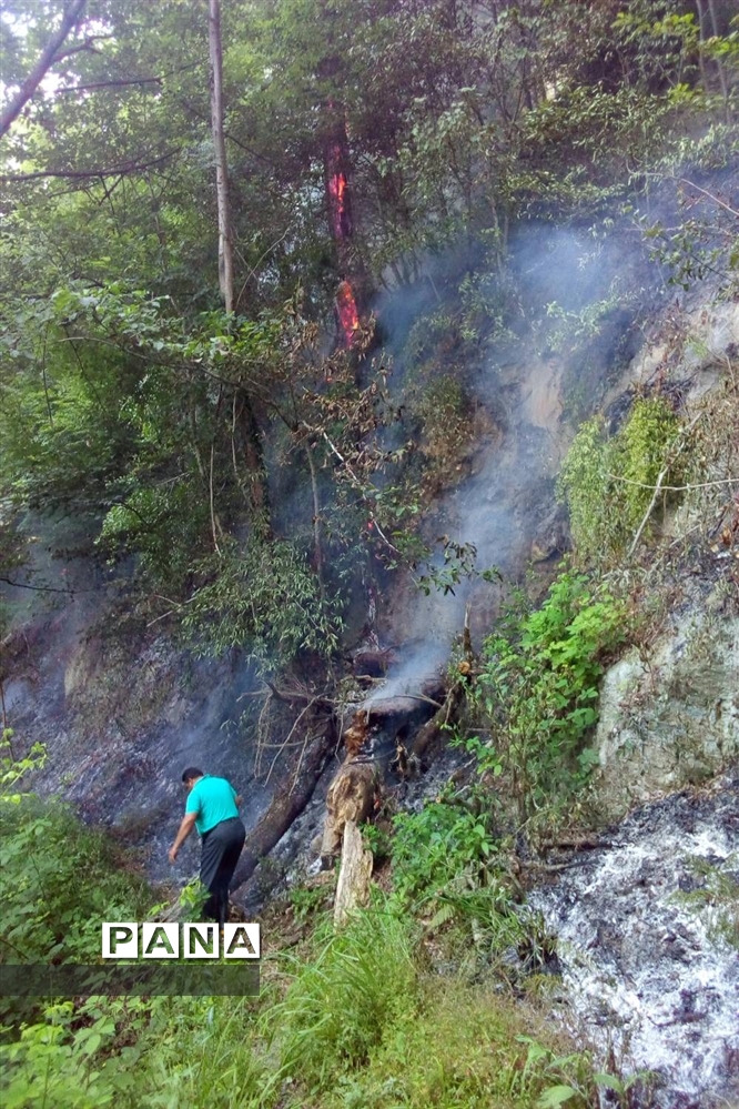 آتش سوزی در جنگل های توسکا چشمه گلوگاه