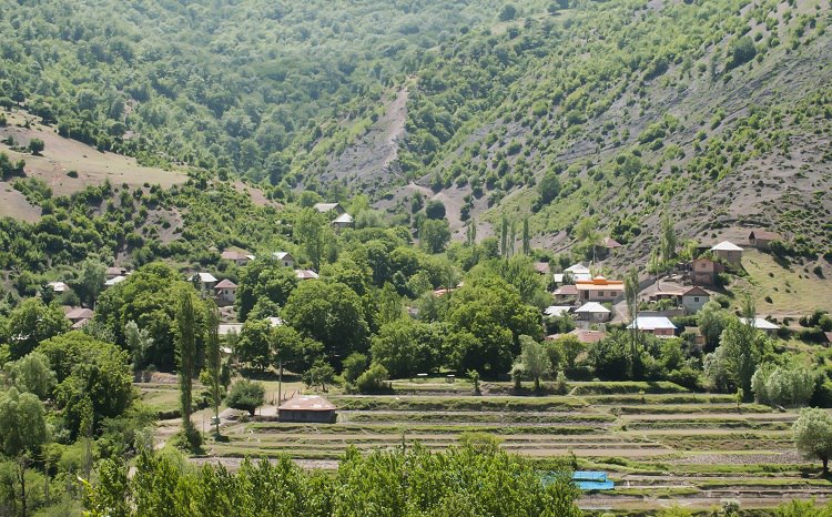 اجرای طرح یک روستا یک محصول در ۱۵ روستای ساری