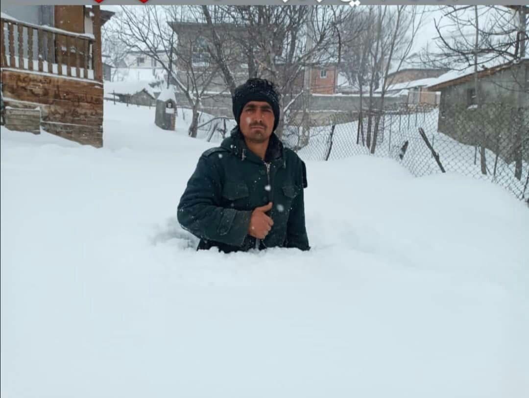 گزارش تصویری| برف اخیر در مازندران