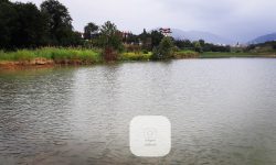 تحول در نظام توزیع آب مازندران؛ از مدیریت دولتی به مدیریت مشارکتی