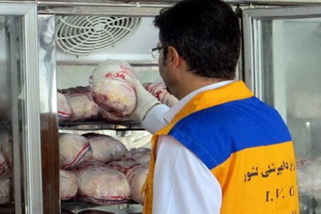 ارسال روزانه بیش از 400 تن مرغ از مازندران به تهران