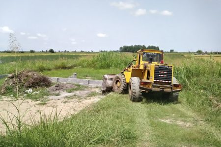 ۵۳ هزار متر مربع از زمین‌های کشاورزی محمودآباد آزاد شد