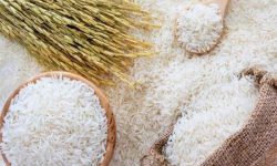 تخلیط و دلالان عامل بر هم خوردن تنظیم بازار برنج مازندران