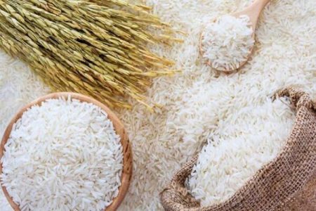 ۹۱۶ هزار تن برنج سفید در مازندران تولید می شود