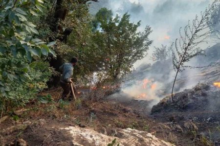 جنگل های تنکابن دوباره در آتش سوخت