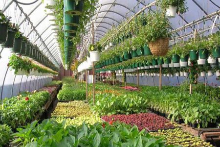واگذاری ۳۸ هکتار اراضی برای توسعه شهرک‌های کشاورزی و گلخانه ‎ای در ساری