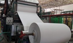 رشد 10برابری تولید کاغذ در چوب و کاغذ مازندران