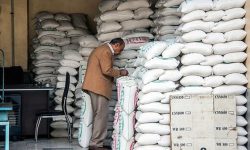 خبری از خرید برنج در مازندران و گیلان نیست