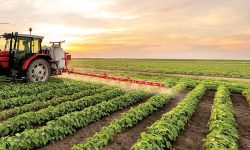 دومین نمایشگاه صنایع تبدیلی، تکمیلی و فناوری‌های نوین کشاورزی و غذایی در مازندران برگزار می شود