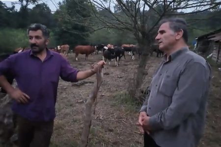 ویدئو | خوشی و ناخوشی ساکنان جنگلهای هیرکانی