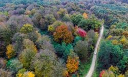 گردشگری مسئولانه؛ ناجی خاموش جنگلهای هیرکانی