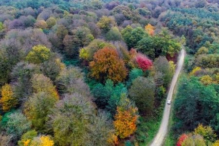 گردشگری مسئولانه؛ ناجی خاموش جنگلهای هیرکانی