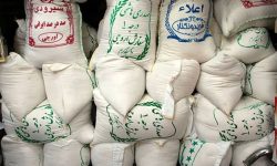 کاهش قیمت برنج و آرامش بازار مرغ در مازندران