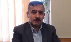 کشف و ضبط حدود ۲۰۰ تن چوب آلات قاچاق از یک شرکت تولیدی صنایع سلولزی