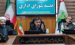 بازداشت موقت ۲۱ قاچاقچی چوب از ابتدای سال تاکنون