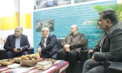 مازندران و ایران اکسپو2025، چشم انداز ظرفیت های جدید