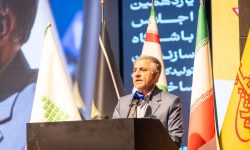 حمایت بی‌قید از سرمایه‌گذاران واقعی در دستور کار است