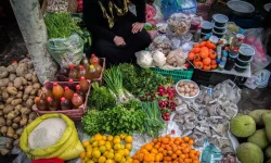 تازه‌فروشی محصولات کشاورزی در مازندران؛ شمشیری دولبه برای اقتصاد روستایی