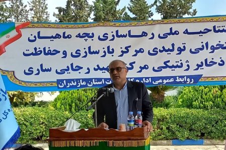 رهاسازی ۸۵ میلیون بچه‌ماهی استخوانی در رودخانه‌های مازندران