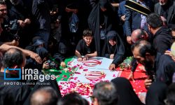 آری؛ اینجا وطن است