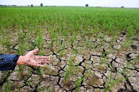 خشکسالی در شمال ایران؛ زنگ خطر برای مازندران