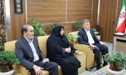 جلوگیری از آسیب های اجتماعی نیازمند همراهی نهادهای قانون گذار