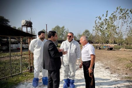 پیشگیری از بیمارهای نوپدید دامی در مازندران