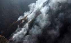 در پی قصور در الیت!