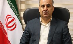 تأمین پایدار گندم در مازندران؛ موجودی استان در سطح مطلوب قرار دارد