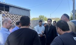 کشف و معدوم‌سازی محموله قاچاق دام آلوده در مازندران