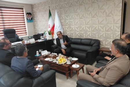 تأکید بر نقش آموزش‌های مهارتی در اشتغال پایدار