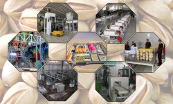 صنایع تکمیلی؛ گنج پنهان در سایه خام‌فروشی