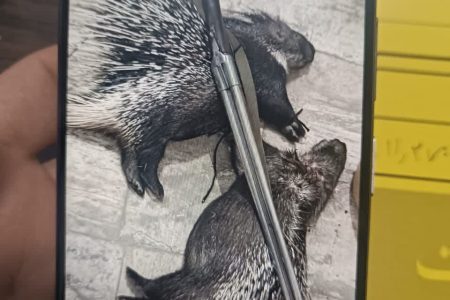 حرفه‌ای ترین قاتل حیات وحش آمل دستگیر شد+تصاویر